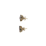 Aretes piedra luna y topacio
